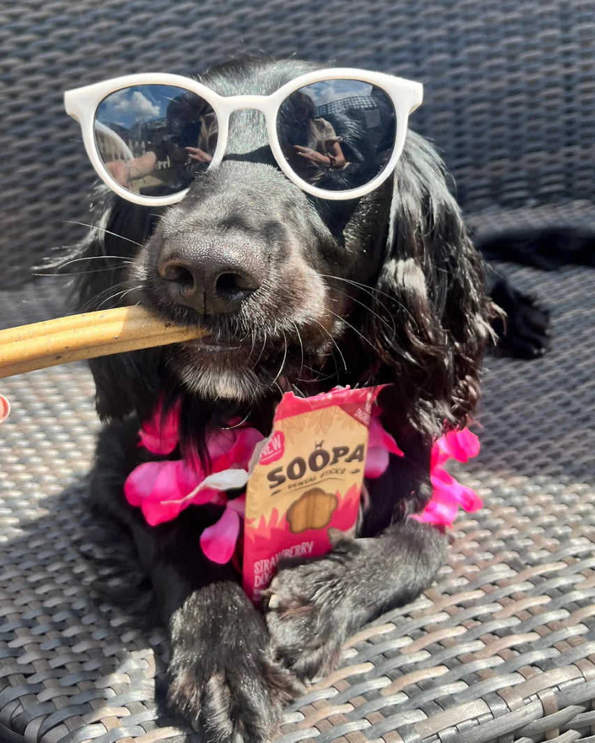 Strawberry dog-quiri dental sticks