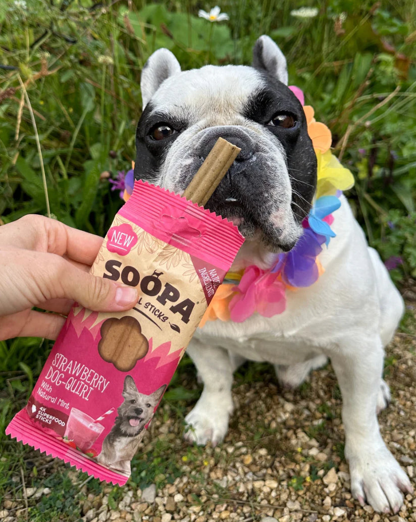 Strawberry dog-quiri dental sticks
