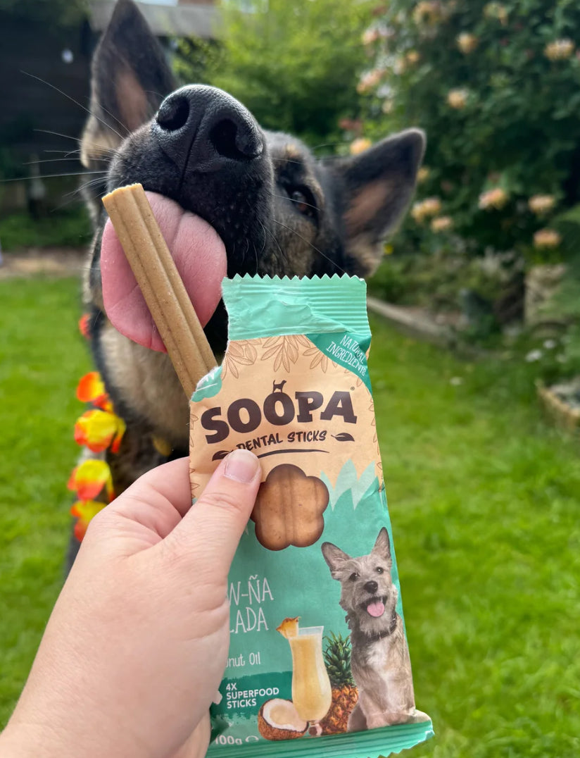 Paw-na colada dental sticks