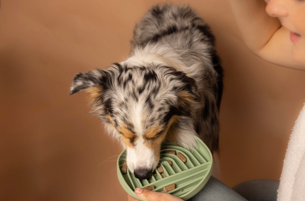 Slowfeeder