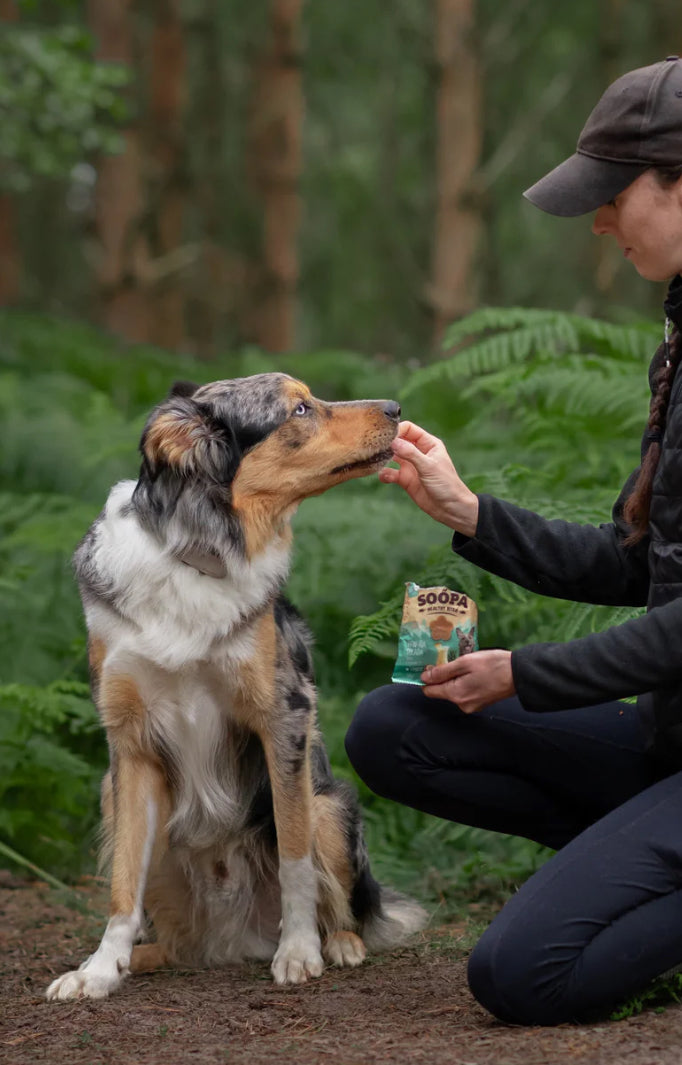 Paw-na colada healthy bites