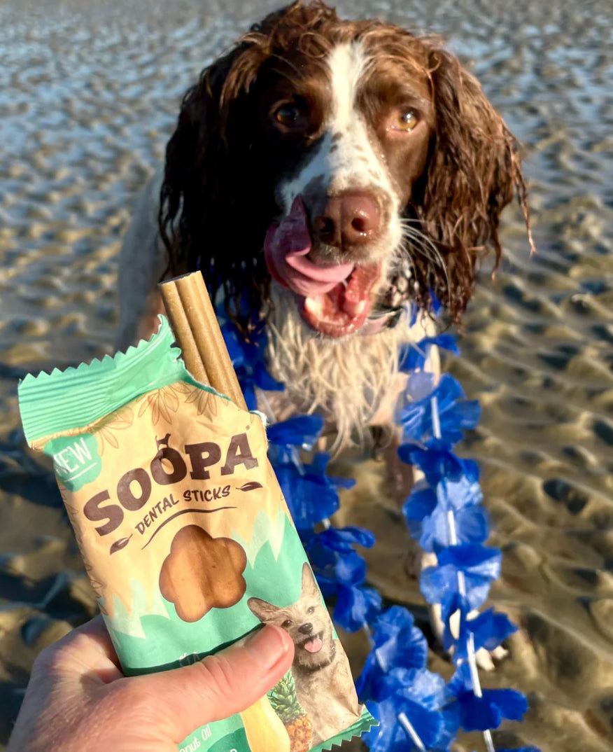 Paw-na colada dental sticks
