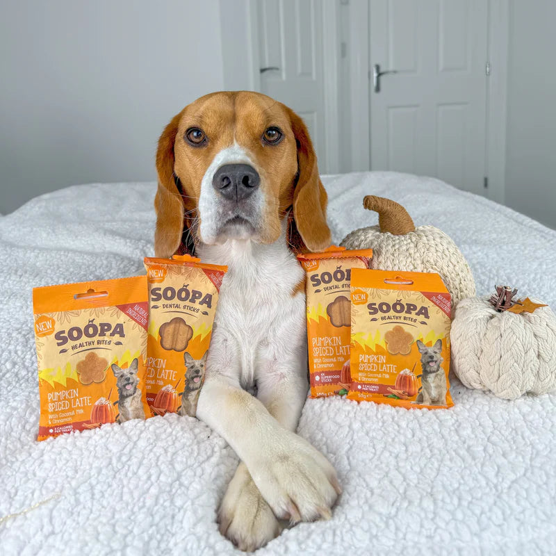 Pumpkin spiced latte dental sticks