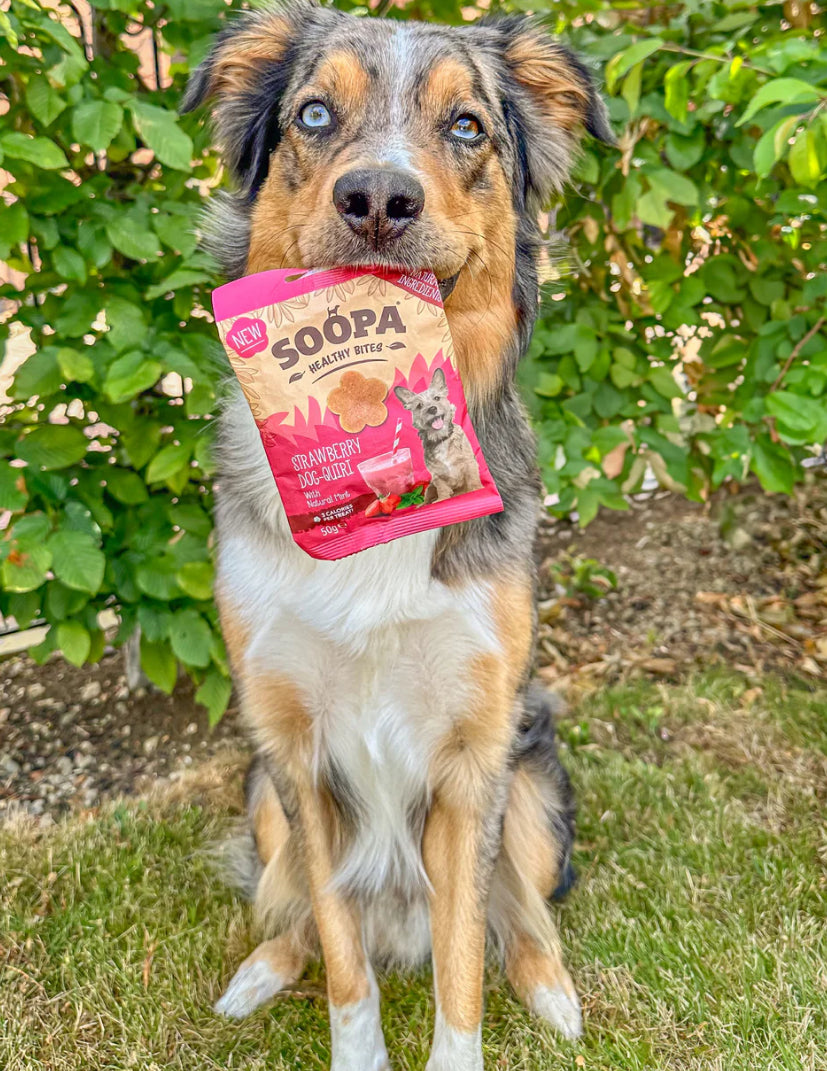 Strawberry dog-quiri healthy bites