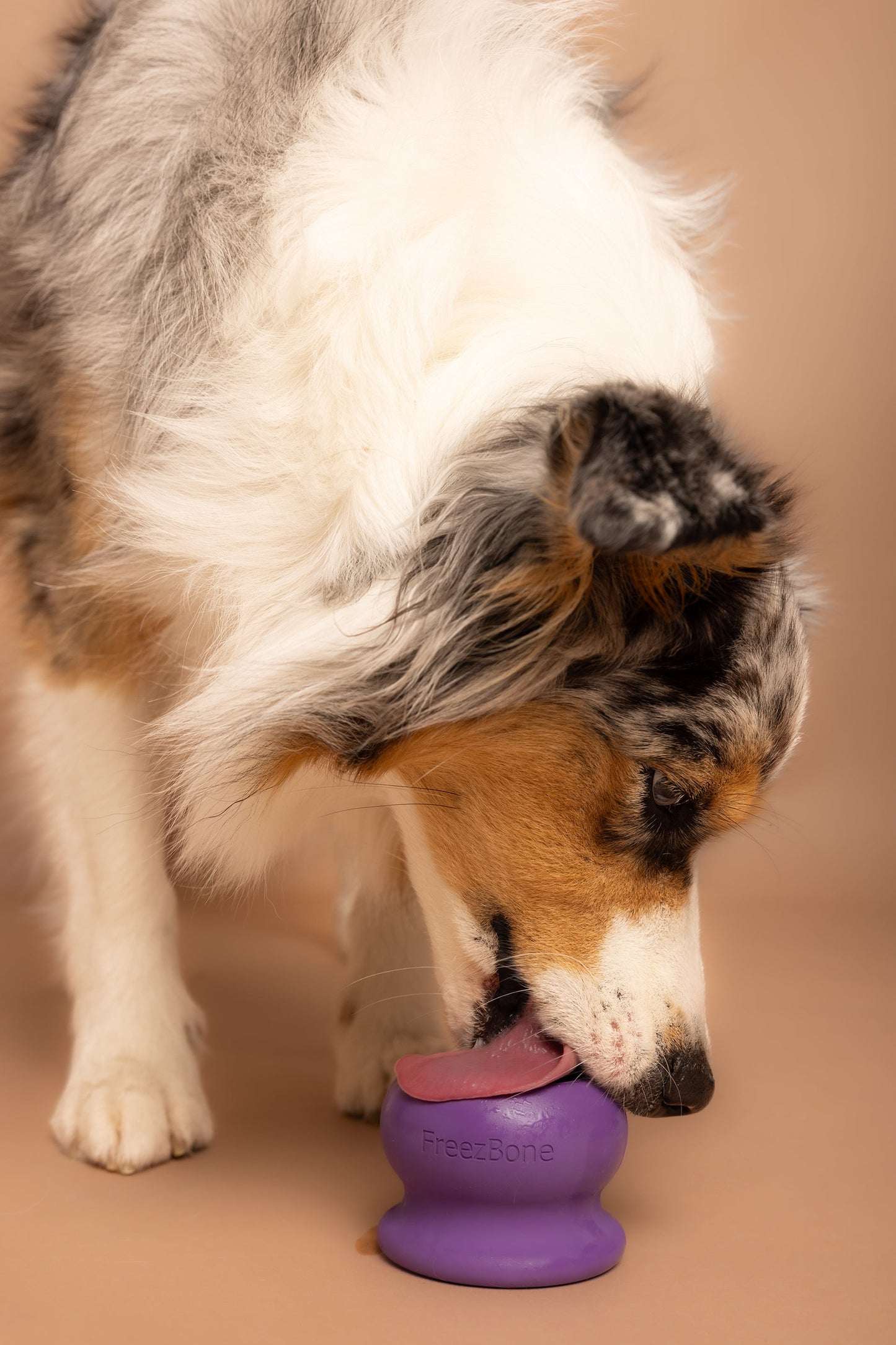 Freezball (duurzaam kauw- en likspel voor honden)